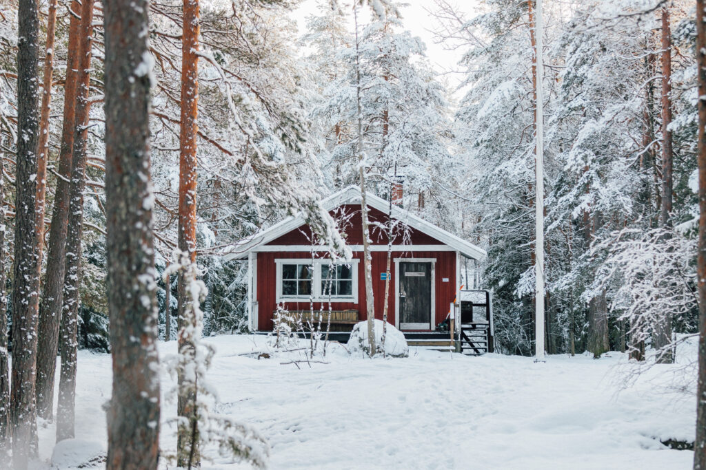 Tälle kuvalle ei ole vaihtoehtoista kuvatekstiä. Tiedoston nimi on talvi_nuuksio_kampat_kuvitus_Alex_Inkilainen_21012023_0158-scaled.jpg